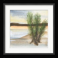 Desert Yucca Framed Print