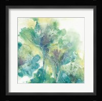 Garden II Framed Print