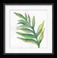 Tropical Palm I Framed Print