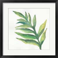 Tropical Palm I Framed Print