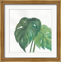 Tropical Palm II Fine Art Print