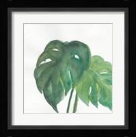 Tropical Palm II Framed Print