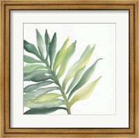 Tropical Palm III Fine Art Print