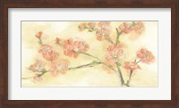 Tinted Blossoms II Fine Art Print