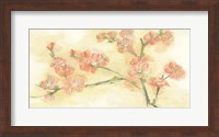 Tinted Blossoms II Fine Art Print