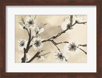 Spring Blossoms II Crop Fine Art Print