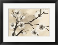 Spring Blossoms II Crop Framed Print