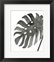 Tropical Palm IV BW Fine Art Print
