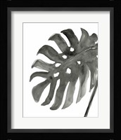 Tropical Palm IV BW Framed Print