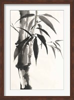 Sumi Bamboo Fine Art Print