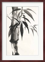Sumi Bamboo Fine Art Print
