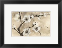 Spring Blossoms IV Fine Art Print