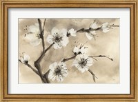 Spring Blossoms IV Fine Art Print