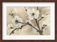 Spring Blossoms III Fine Art Print