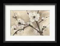 Spring Blossoms III Framed Print