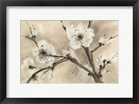 Spring Blossoms III Framed Print