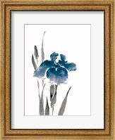 Japanese Iris III Crop Indigo Fine Art Print