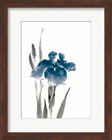 Japanese Iris III Crop Indigo Fine Art Print