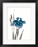 Japanese Iris III Crop Indigo Fine Art Print