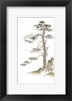 Moon Pine on White Fine Art Print