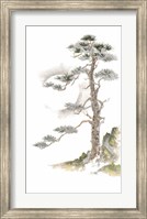 Moon Pine on White Fine Art Print