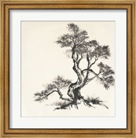 Sumi Tree I Fine Art Print