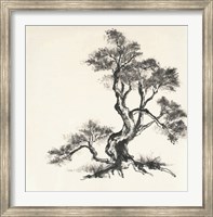 Sumi Tree I Fine Art Print