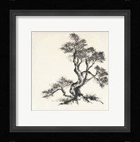 Sumi Tree I Framed Print