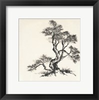 Sumi Tree I Framed Print