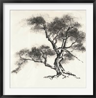 Sumi Tree II Fine Art Print