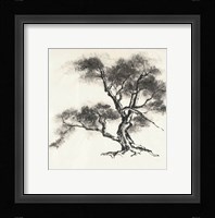 Sumi Tree II Framed Print