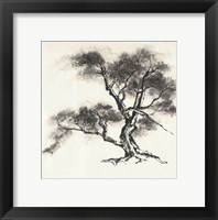 Sumi Tree II Framed Print
