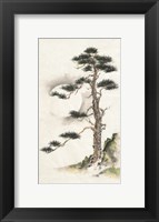 Moon Pine Fine Art Print