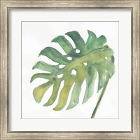Tropical Palm IV Fine Art Print