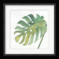 Tropical Palm IV Framed Print