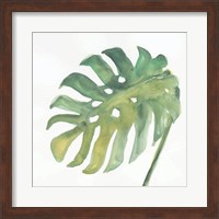 Tropical Palm IV Fine Art Print