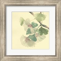 Gingko Leaves II Fine Art Print