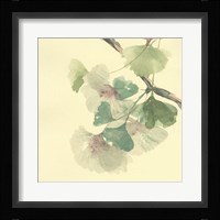 Gingko Leaves II Fine Art Print