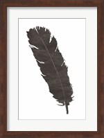 Black Feather V Fine Art Print