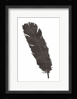 Black Feather V Framed Print