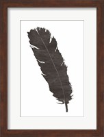 Black Feather V Fine Art Print