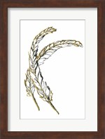 Gilded Hackles Feather Fine Art Print