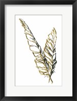 Gilded Raven Feather Fine Art Print