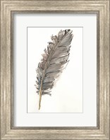 Gold Feathers VII Fine Art Print