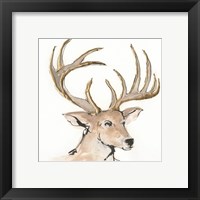 Gilded Mule Deer Fine Art Print