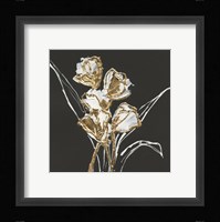 Gilded Tulips Framed Print