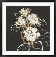 Gilded Roses Fine Art Print