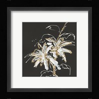 Gilded Poinsettias Framed Print