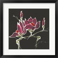 Magnolia on Black III Framed Print