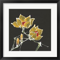 Magnolia on Black II Framed Print